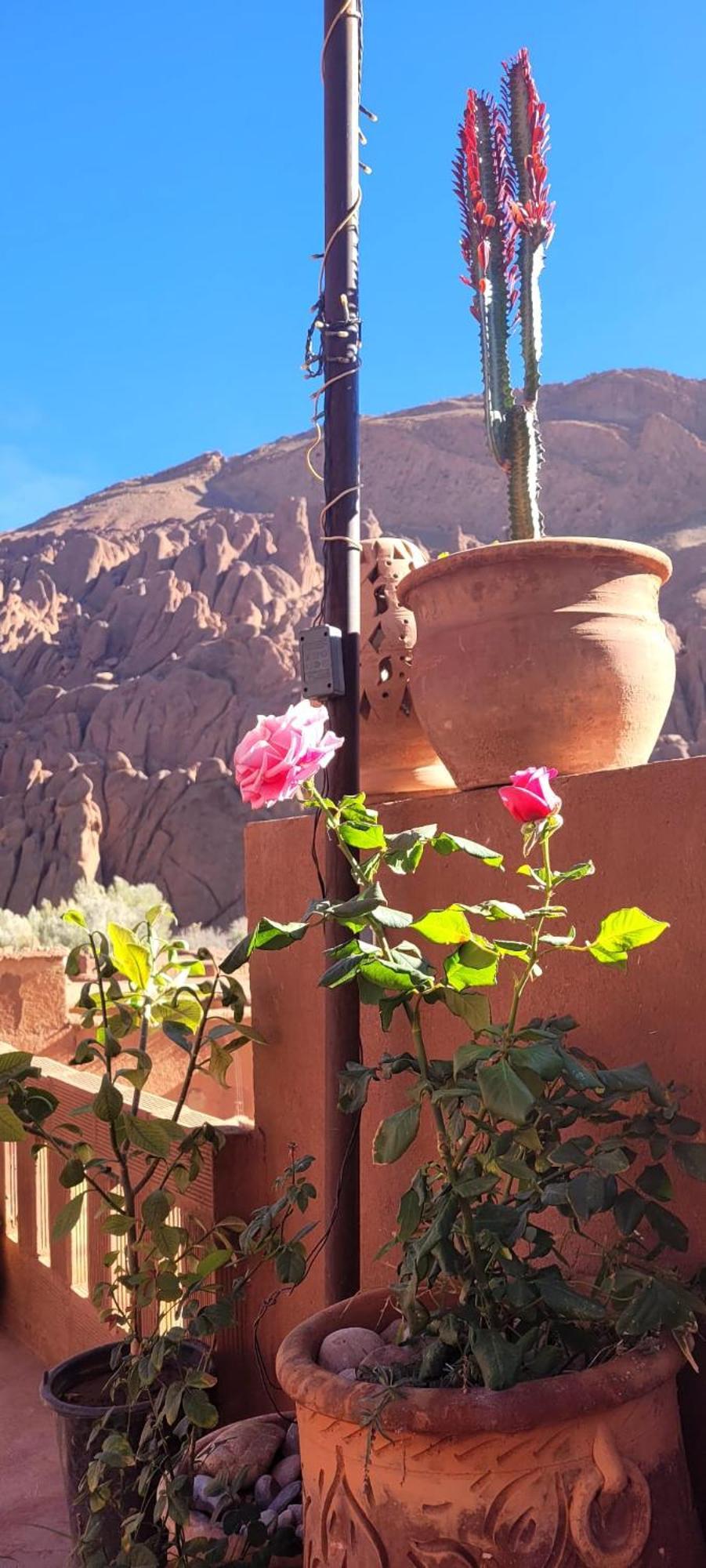 Tafsut Dades Guesthouse Stay With Locals Tamellalt (Tinghir) Exterior foto
